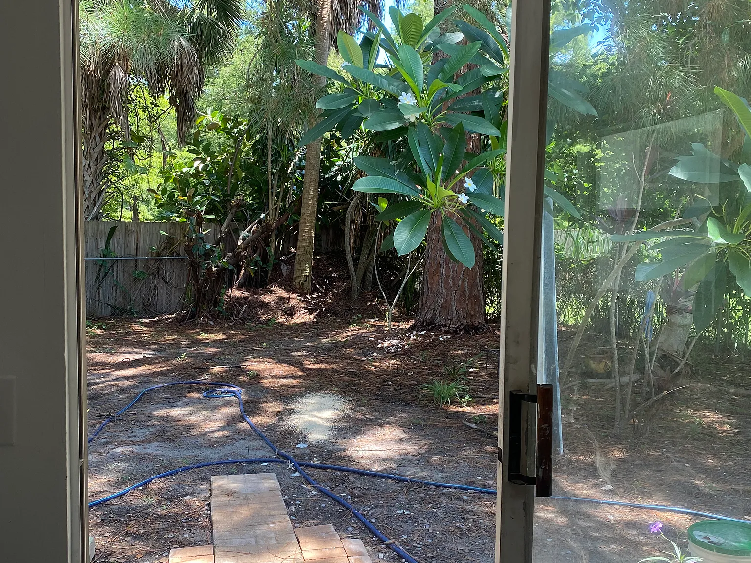 3 bed, 1500 sqft, $2,450 — Photo 2