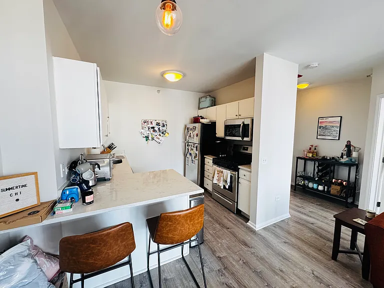 600 N Dearborn St #13 — Photo 18