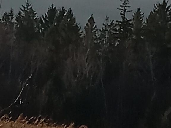 4th image of AR105P4 Jemtland Road