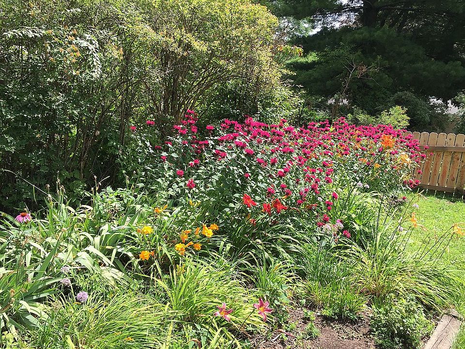 Side garden, Cedar fence