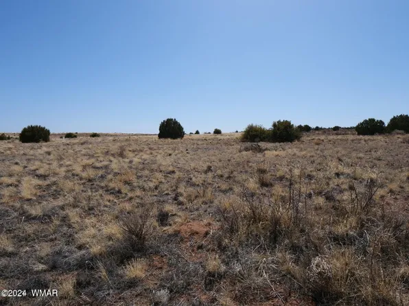 5447 State Route 277, Heber, AZ 85928