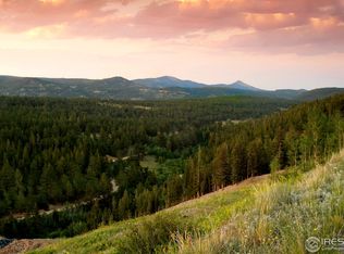 3 Ridge View Rd, Nederland, CO 80466