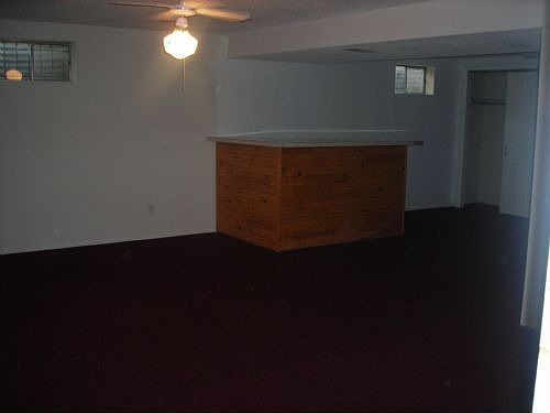 Basement1