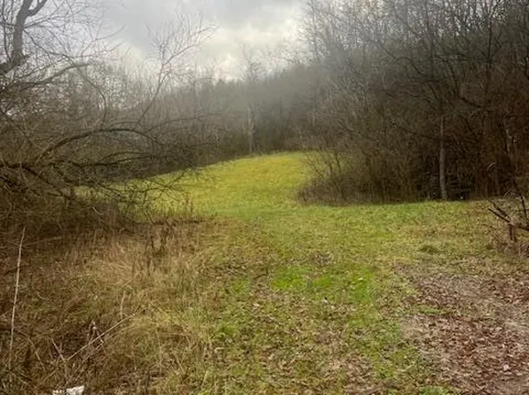 7489 Tollgate Rd, Alexandria, KY 41001