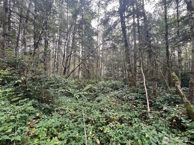 2 XX View Drive NE, Poulsbo, WA, 98370