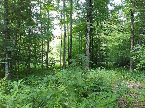 3rd image of 1725 Parker Schoolhouse Rd