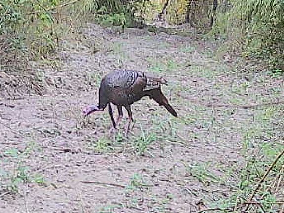 4th image of Jamestown Rd