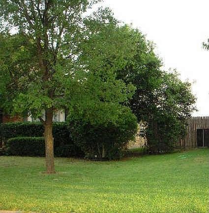 3rd image of 814 Nafus St
