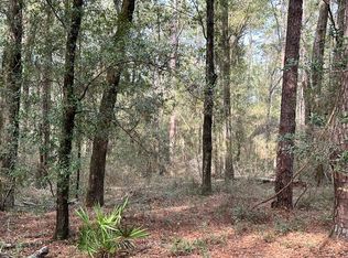 12th Terrace Lot 8, Live Oak, FL 32060