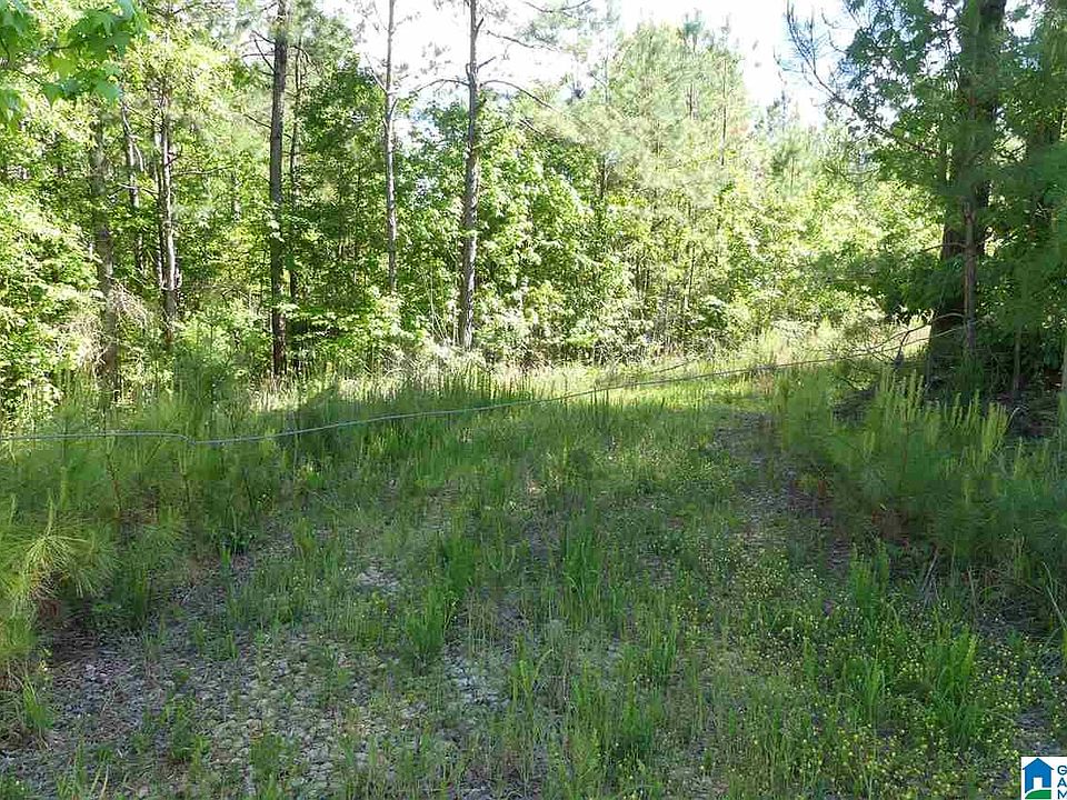 1st image of 65/ACRE S County Road 121 Lot 0