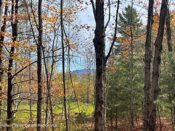 0 Tower Mountain Road, Jewett, NY 12444