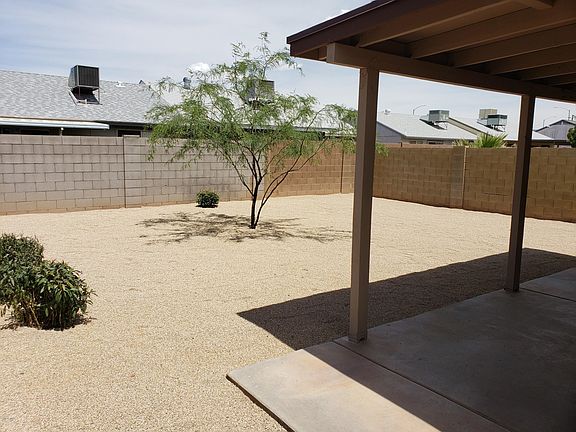 Large Backyard!  New Gound Cover!