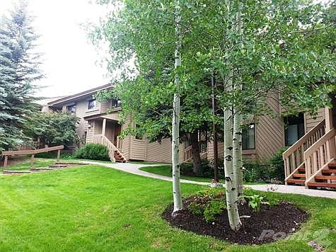 Landscaping and Paver Walkways