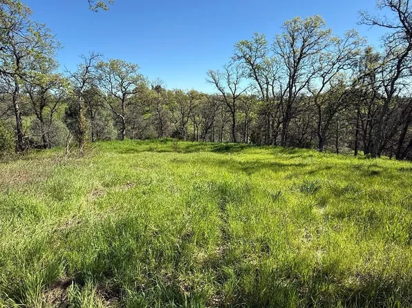 16438 Longhorn Ln, Corning, CA 96021