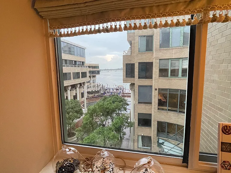 Study - view