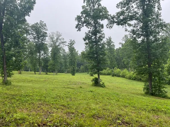 0 Mitchell Dr, Paris, TN 38242