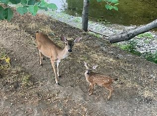 17945 Riverside Dr, Sonoma, CA 95476