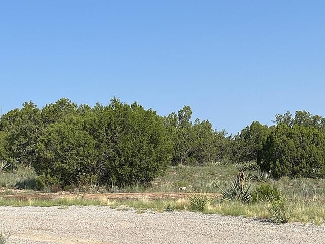 2nd image of 24 Barbara Ln