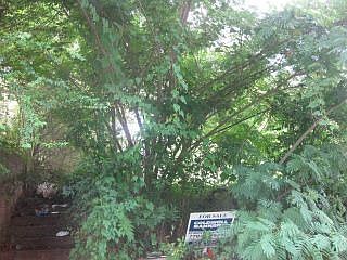 1st image of 403 Paines Ave NW