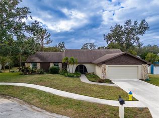 2913 Beagle Pl, Seffner, FL 33584