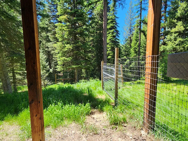 301 Sias Spur — Photo 20