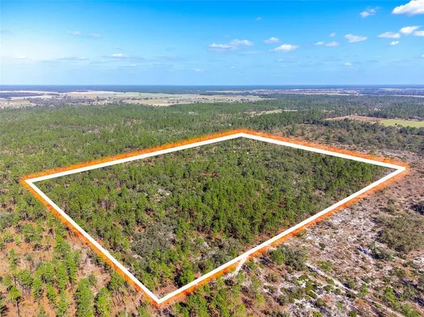 0 NE 15th St, Williston, FL 32696