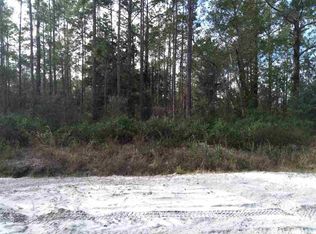 10405 Carpenter Ave, Hastings, FL 32145