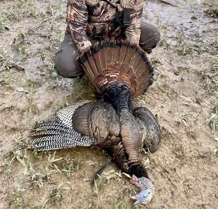 46th image of this home