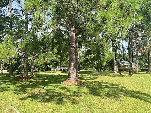 Side wooded lot