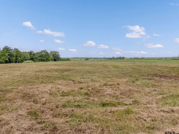 Acr 148 Lot 12, Palestine, TX 75803