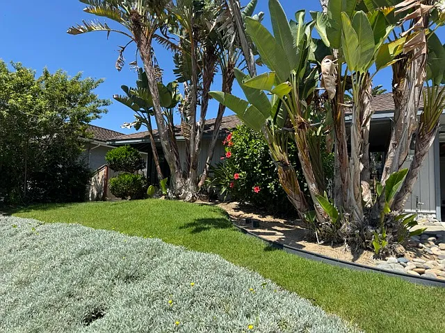 4 bed, 2000 sqft, $4,500 — Photo 1