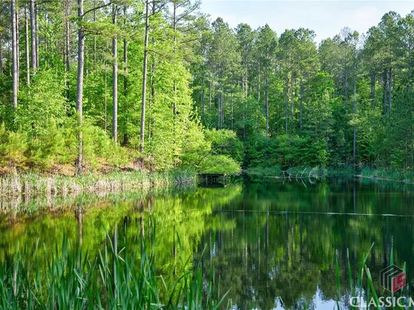 0 North Point Peter Road, Carlton, GA 30627