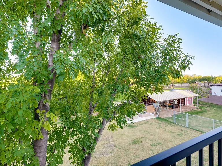 Window View