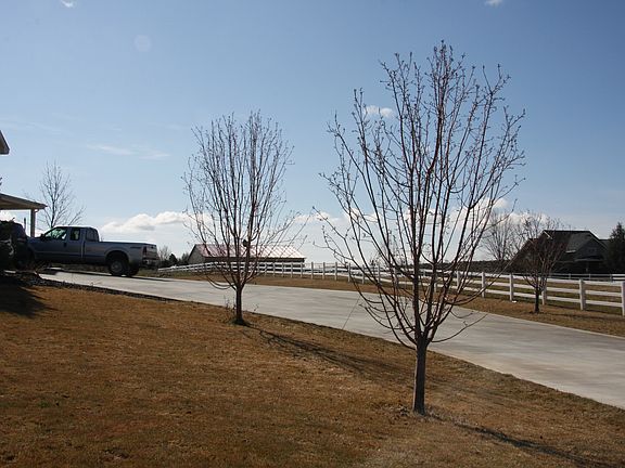 Driveway
