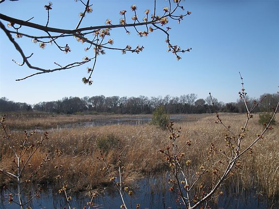 4th image of Vz County Road 4701