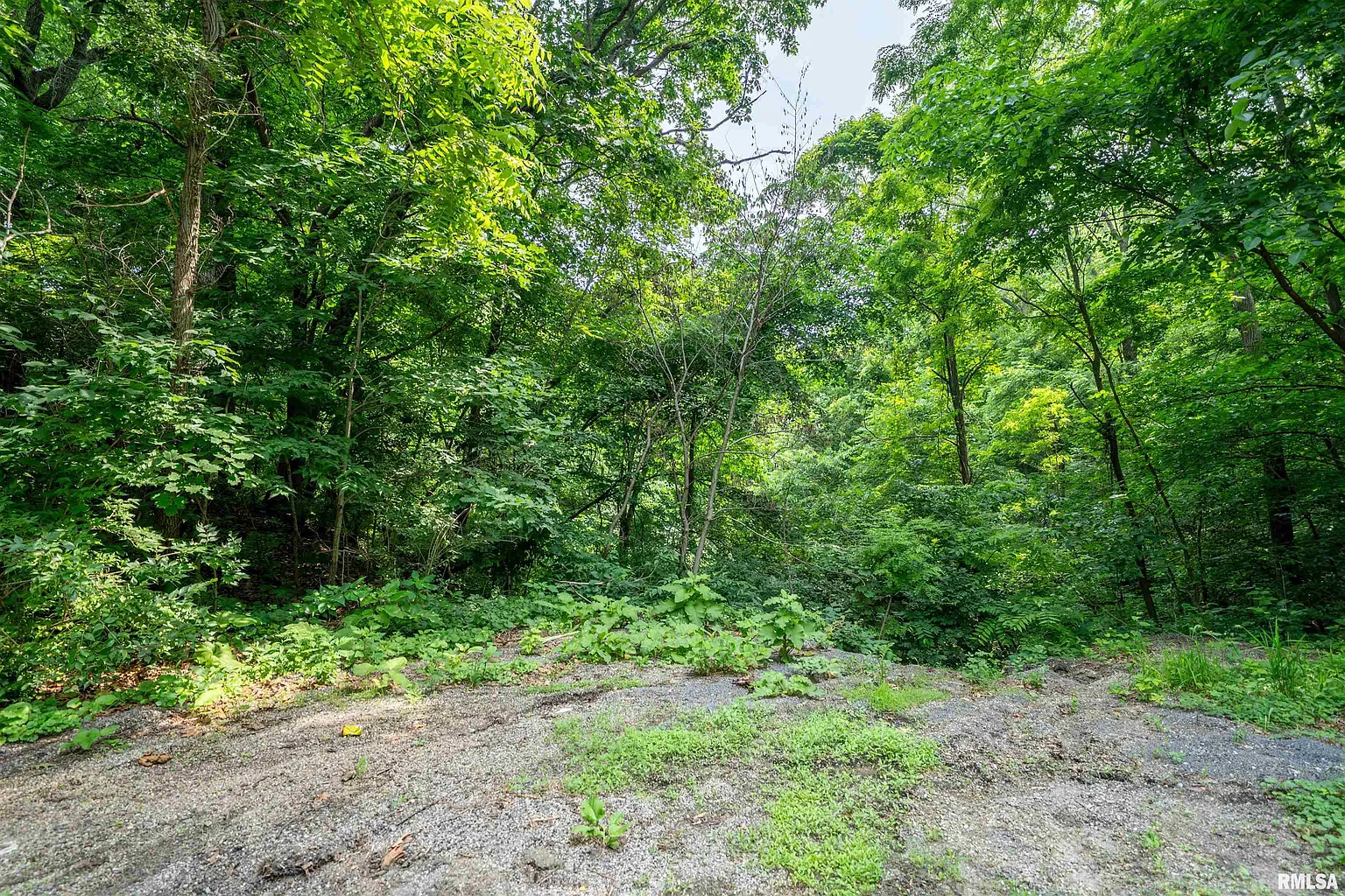8 W Harp Hollow Rd photo 1