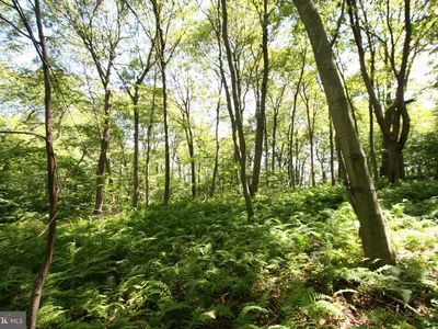 0 Leidig Rd, Three Springs, PA, 17264