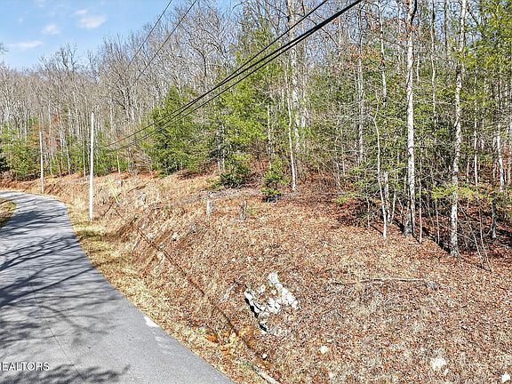 3rd image of Dogwood Rd