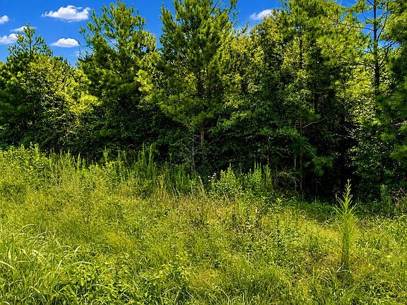 4th image of Newbill School Rd
