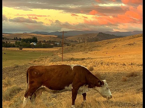 Sunsets are incredible!