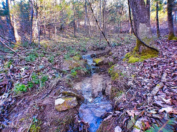 144 Charlie Jones Rd, Deer Lodge, TN 37726