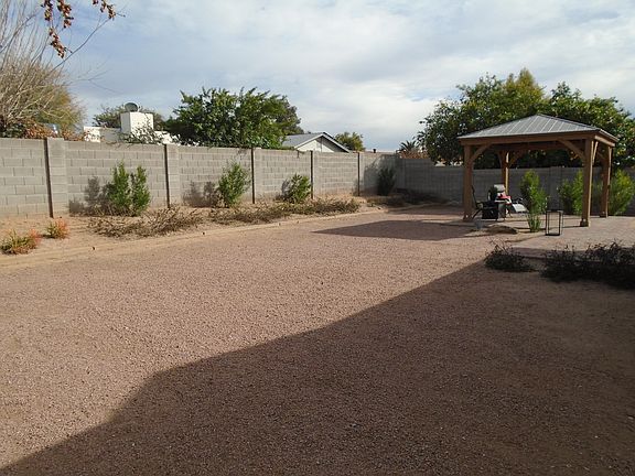 Backyard 4_07262023