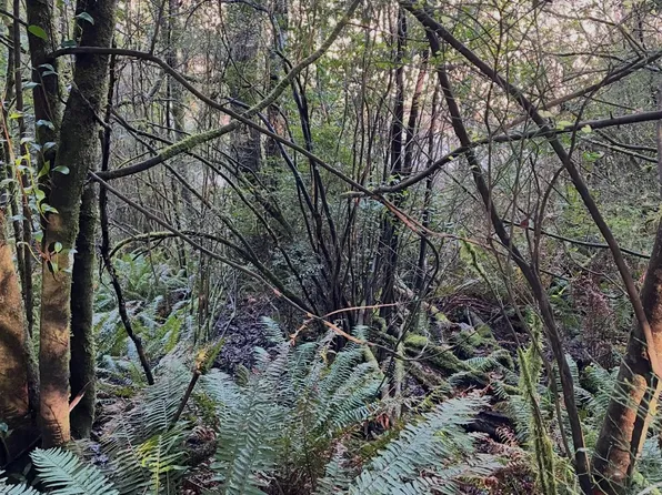 N Dogwood St, Coquille, OR 97423