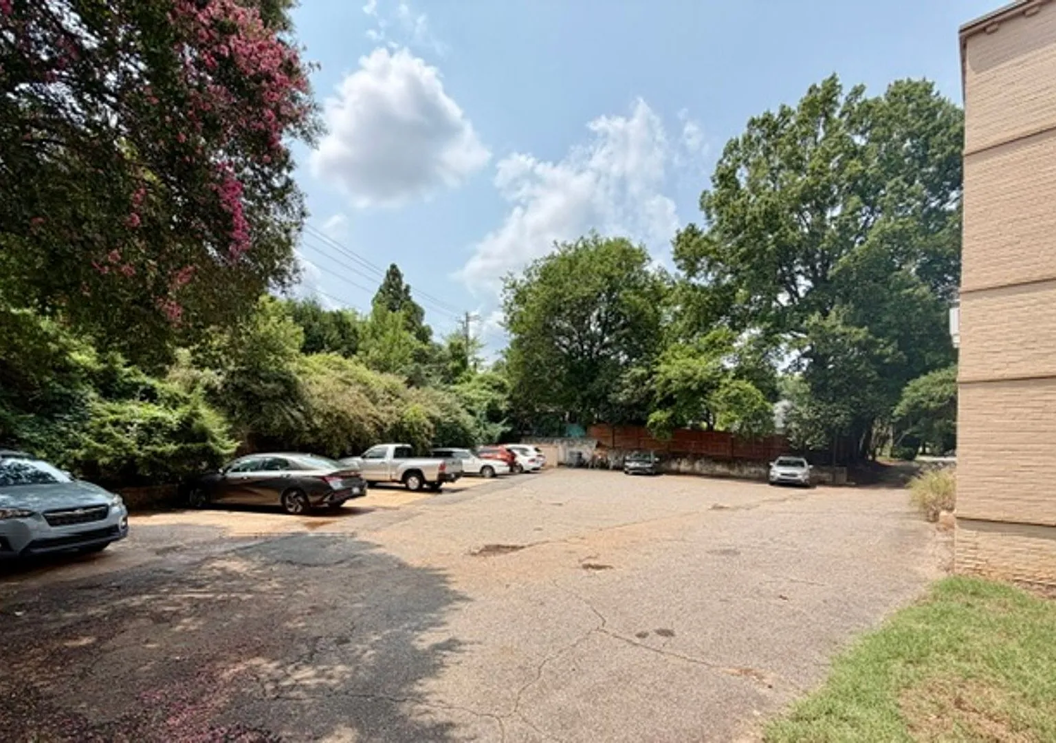 1/2 Month Off Special - Dilworth -Historic Myrtle Sq 1 Bed 1 Bath Condo — Photo 4