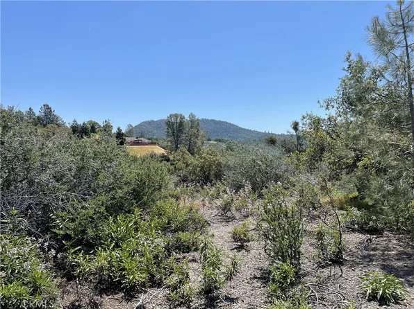 11 Suncrest Dr, Oakhurst, CA 93644