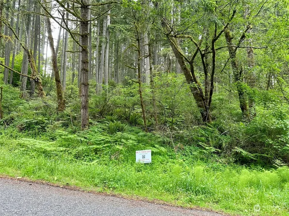 12613 Camus Road, Anderson Island, WA 98303