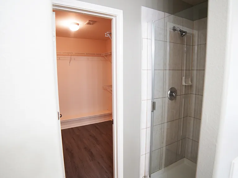 master bathroom shower