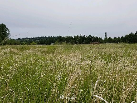 5th image of 9999 McFarland Drive