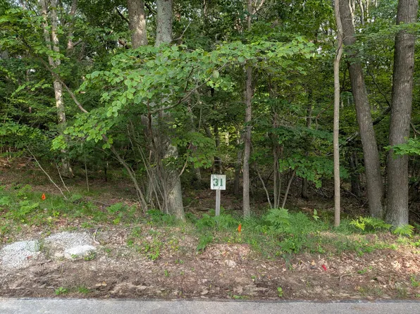 N Silver Ridge Rd Lot 31, Mears, MI 49436