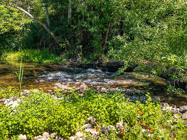 Deer Creek